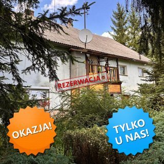 zdjecie
