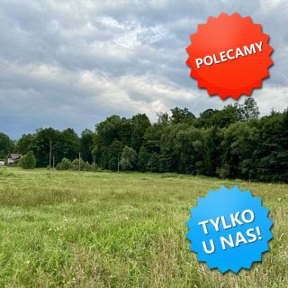 DZIAŁKA na SPRZEDAŻ