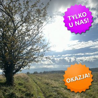 DZIAŁKA na SPRZEDAŻ