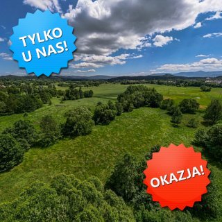 DZIAŁKA na SPRZEDAŻ