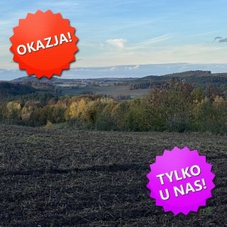 DZIAŁKA na SPRZEDAŻ