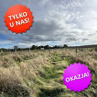 DZIAŁKA na SPRZEDAŻ