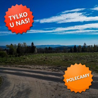 DZIAŁKA na SPRZEDAŻ